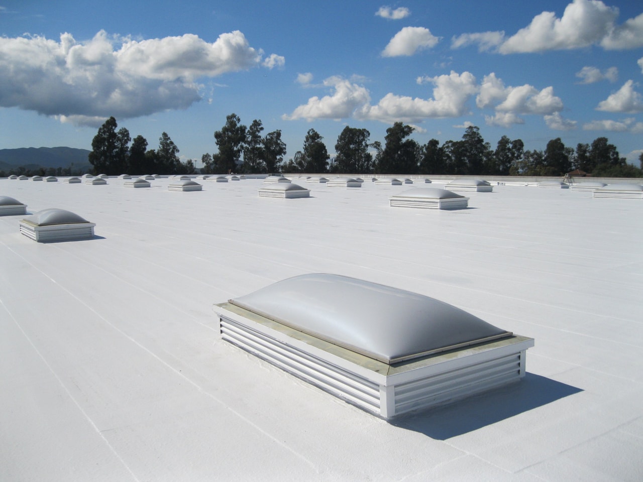 TPO Commercial Roofing